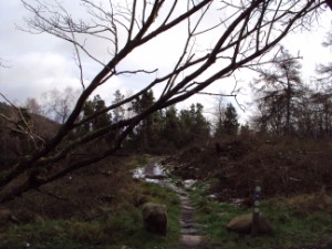 Mourne Heritage Trust